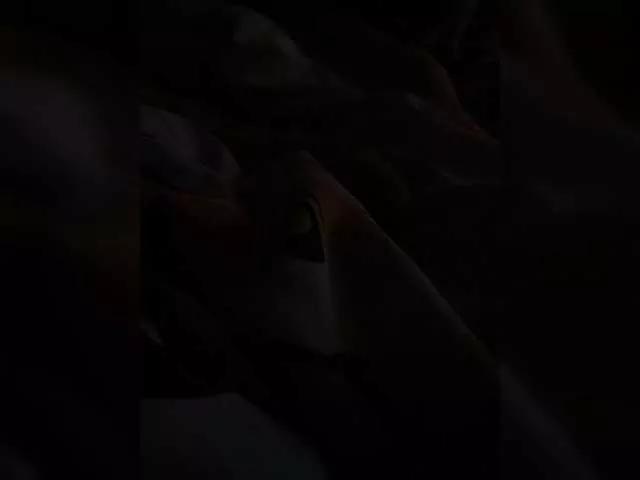 Nikita9334 on BongaCams 