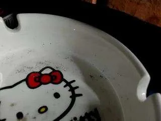 nikkishome on CamSoda 