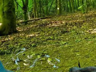 sansastaark on CamSoda 