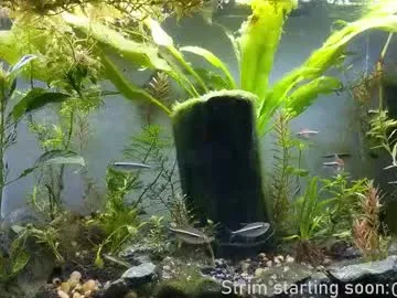 booker_baxton on Chaturbate 