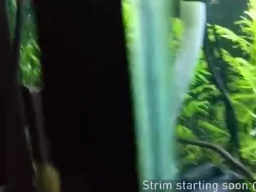 booker_baxton on Chaturbate 