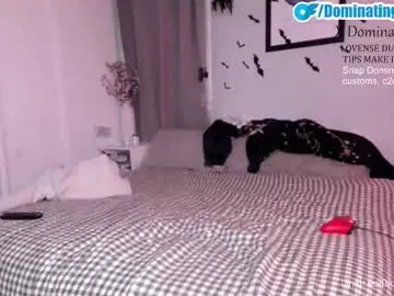 dominatingher69 — GOAL: STRIP AND SHOW ASS N COCK [339 tokens remaining] BlueCollarDaddy (PRIVATES WITH COUPLE) #fit #daddy #hung #bwc #booty #straight #couple  #boobs #blowjob #anal #HOTWIFE