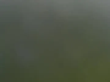 wisanonymousman — Wisanonymousman's room  #submissive #daddy  #CBT  #cockring