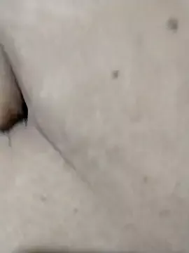 Casaltesao1 on StripChat 