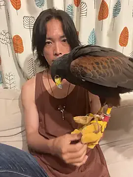 Katakuriko-Denpun on StripChat 