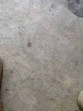 Miss-World00 on StripChat 