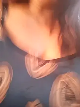 zeevaansari on StripChat 